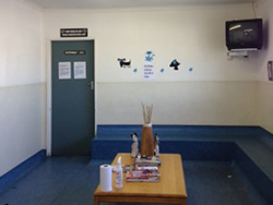 Animal Anti-Cruelty League Clinic_1