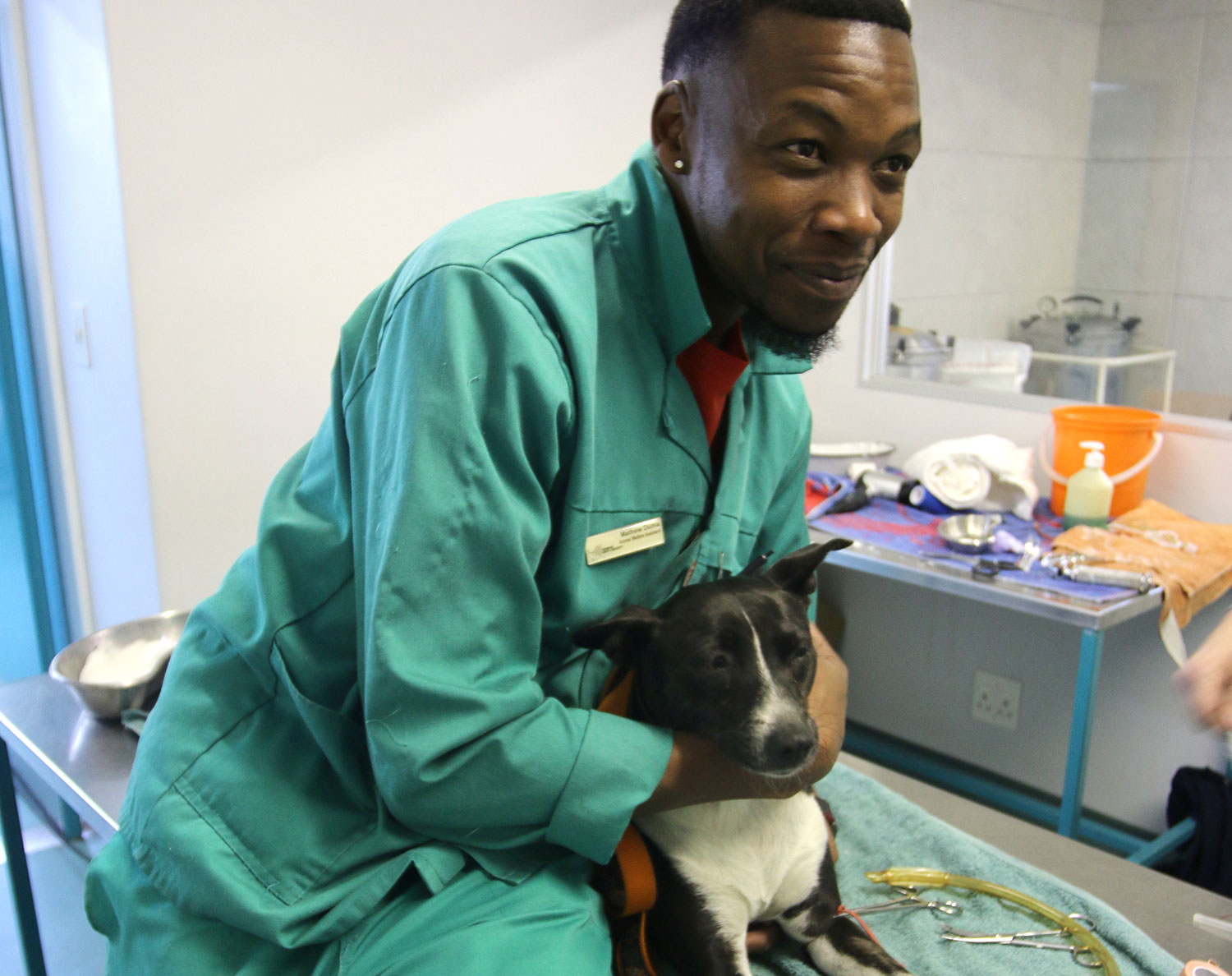 Animal AntiCruelty League Johannesburg Branch AACL