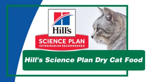 Hills Science Plan Dry Cat Food