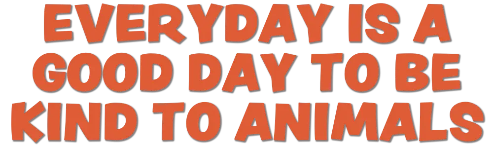 AACL-Competition-Slogan