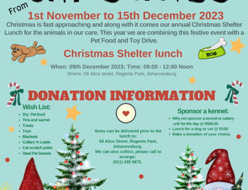 Christmas Shelter lunch 2023
