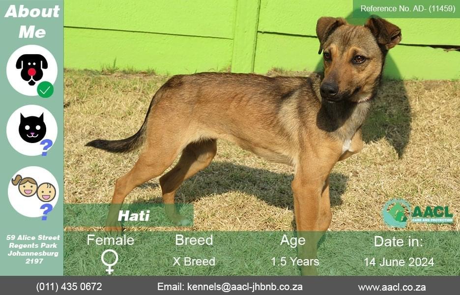 Adoption – Johannesburg – AACL