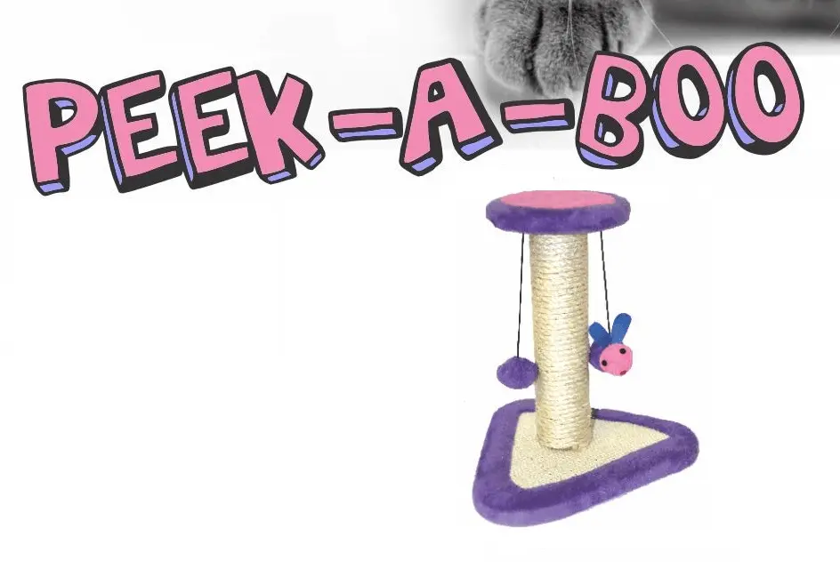 Peek-A-Boo Cat Pole with Bug & Ball