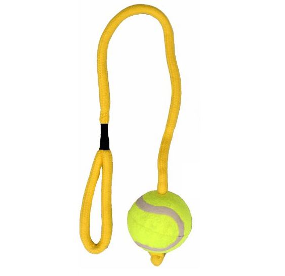 Rope Toy with Tennis Ball