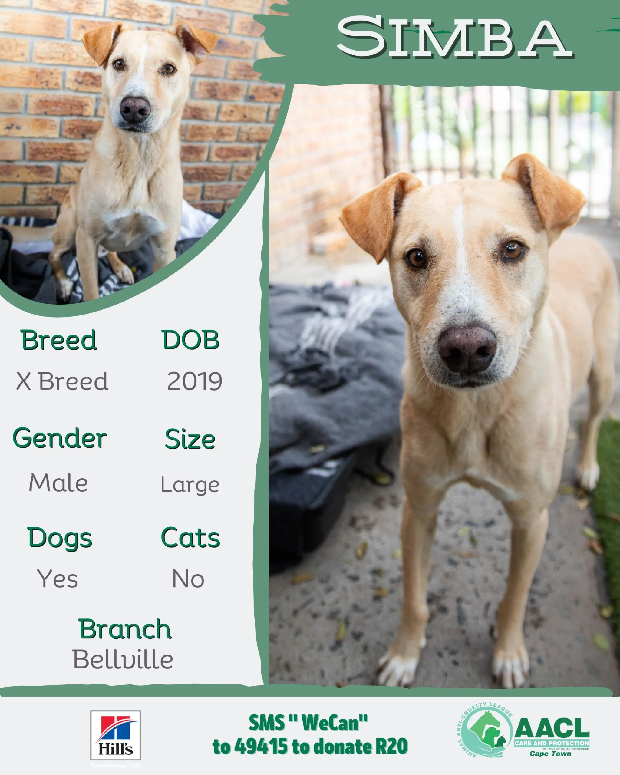 Adoption – Cape Town – AACL