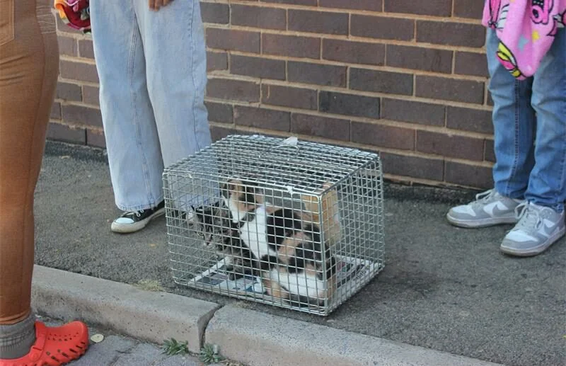 IMG_1137_22057-e1751878104961