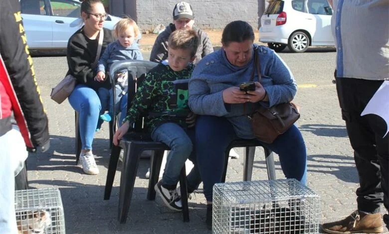 IMG_1145_20963-780×470