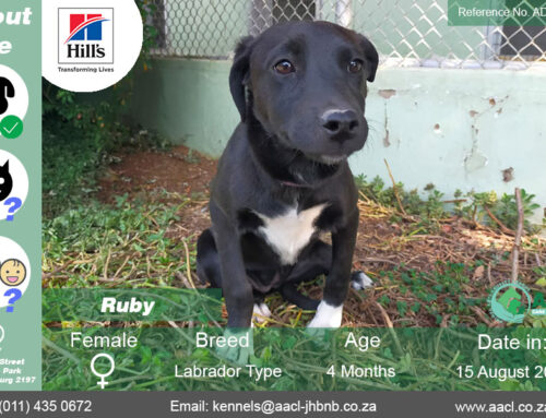 Ruby
