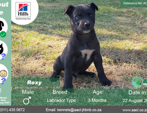 Roxy
