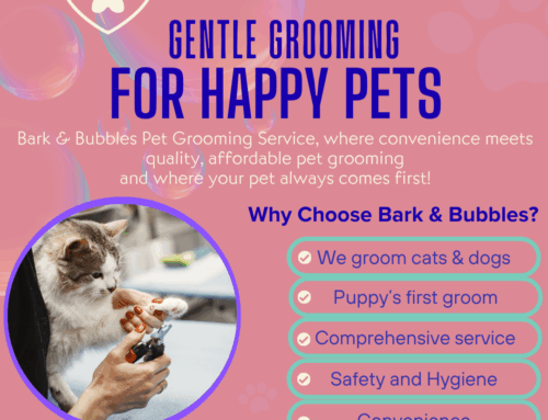 AACL Johannesburg – Bark & Bubbles Grooming