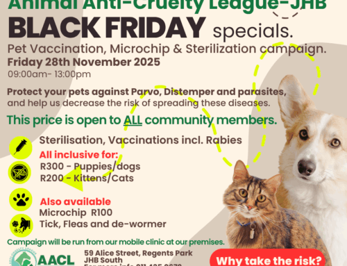 AACL JHB – Black Friday Specials 2025