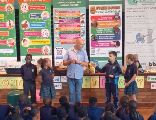 We thank Laerskool Montanus Primary in South Hills