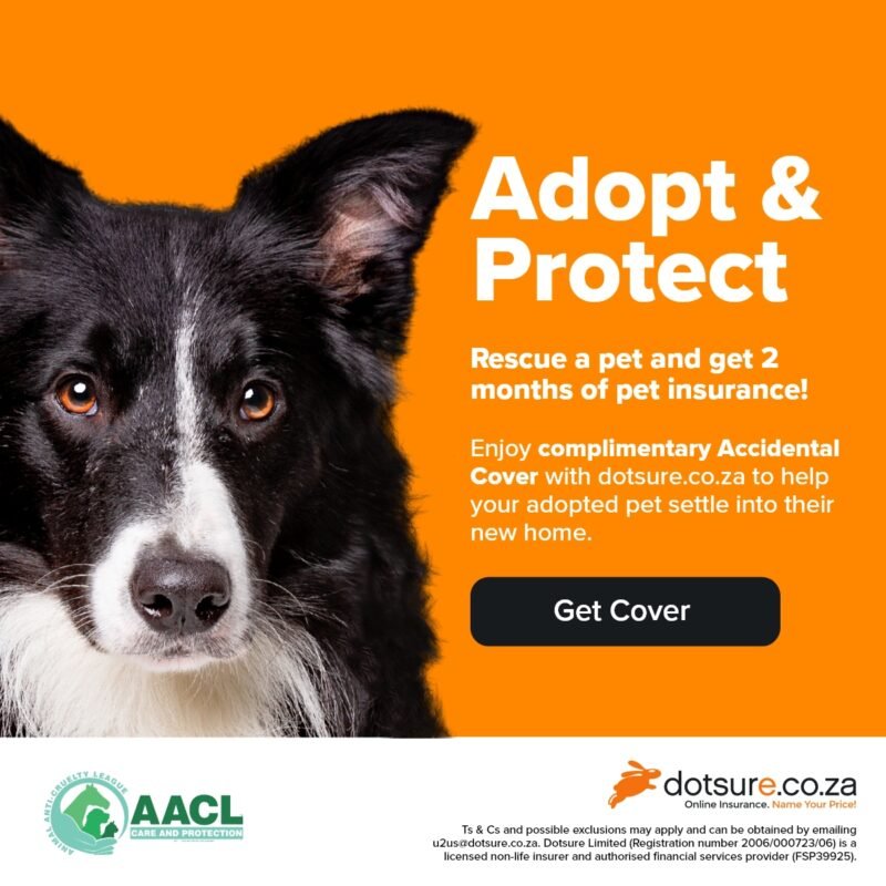 AACL – Animal Anti-Cruelty League