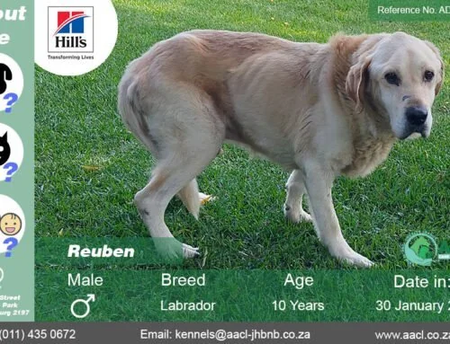 Reuben 