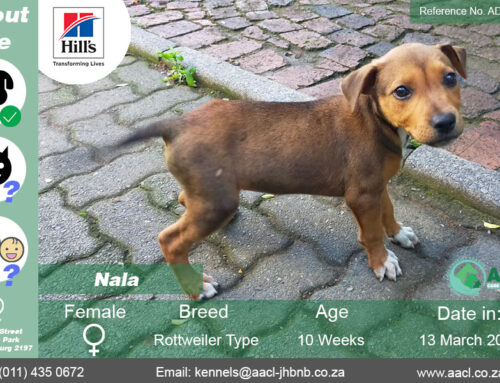 Nala