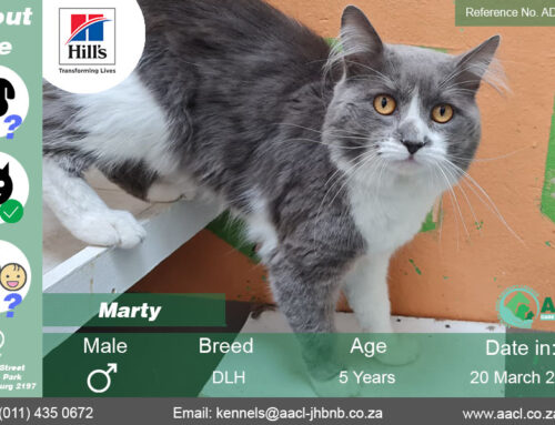 Marty