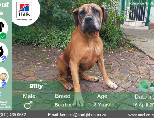 Billy
