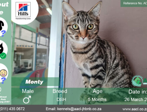 Monty