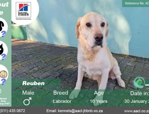 Reuben 