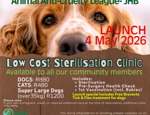 Low-Cost Sterilisation Clinic on 4 May 2026