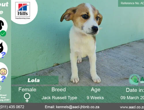 Lola