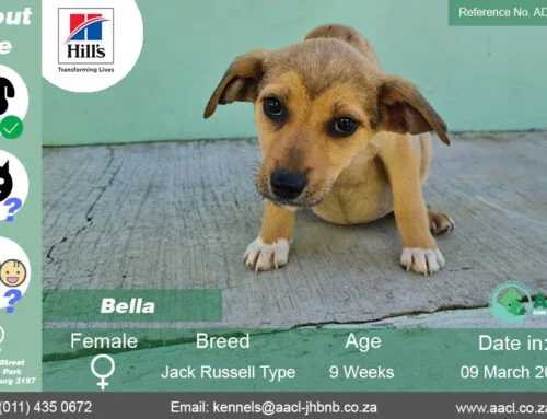 Bella
