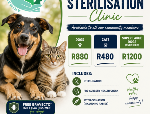 Low Cost sterilisation Clinic – Johannesburg