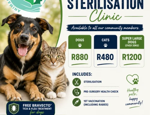 Low Cost sterilisation Clinic – Johannesburg