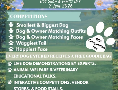 PAWS IN THE PARK – DOG SHOW AND FAMILY DAY – 7 JUNE 2026