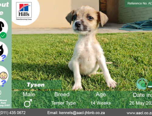 Tyson
