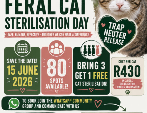 Feral Cat Sterilisation Day – 15 June 2026
