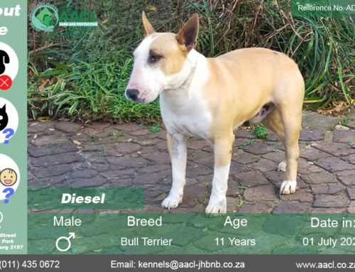 Diesel