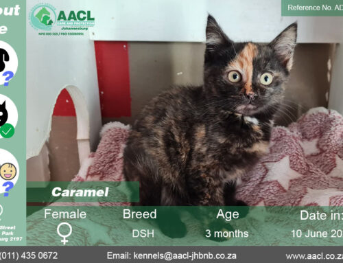 Caramel