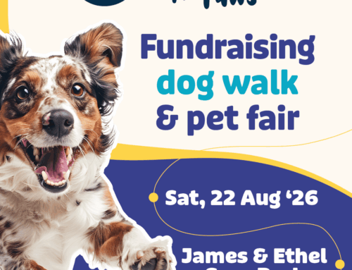 The Absolute Pets Walk for Paws 2026