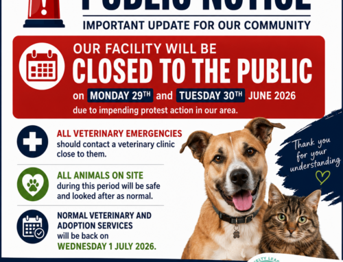 Public Notice 29 – 30 June 2026 – AACL Johannesburg