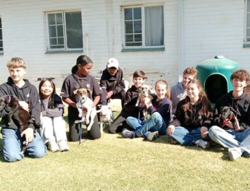 Johannesburg Mini-Council students roll up their sleeves for animals in need